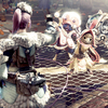 【MHW】プレイ日記：オッドアイガールと役満猫の気ままな珍道中～今回はちょっと寄り道！任務も良いけどサブ的なイベントもなかなか勲章集めには重要かも！？