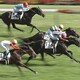 第93回日本ダービーの結果をお知らせします
