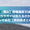 見物海岸ではタカラガイは拾える？行き方は？トイレは？実際に調査してみた【館山】