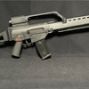 ほほぅ・・・コレは面白そうだ・・・で買った銃