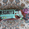 ミントの清涼感にチョコとクッキーのサクサク食感が楽しい　ロッテ　HERSHEY'S　チョコレートアイスバー　ザクザクチョコミント