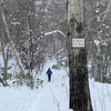 断酒２３０日目　雪の豊平山