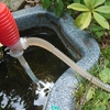 ひょうたん池にまた？　またまた池の清掃!