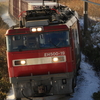 鉄道撮影　江差線　渡島当別－釜谷　(1)　白鳥