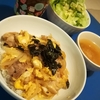 一気にご飯が貧相になりました。