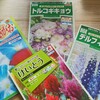 早々   春まきの種を買ってしまい ました   気持ちは春