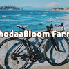 KhodaaBloom Farna Clarisを買ってしまいました（前編）