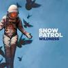 Wildness/Snow Patrol（2018）今日のTSUTAYA DISCAS日記。#386