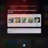 Siriに通じるか？発音チャレンジ！