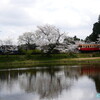 「#小湊鉄道」≪#1≫　ー「#桜と菜の花満開」の「#飯給（いたぶ）駅」―