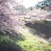 寒い春の日とちょっと早めの桜【Leica M10】