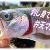 自然を食べる・弁天マスの塩焼きと煙炙り一夜干し・・・湧き水で育った絶品ニジマスグルメ自然の中でSDGｓ！