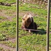 森の動物園に行って来た!