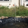 A BIOTOPE WITH A FOUNTAIN