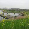 新横浜公園を散歩