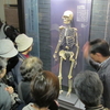 地球の46億年と日本人の4万年　「科博」を見学