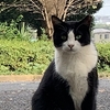 狭山の黒い闇に触れる  1279