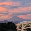 静岡だいすき秋葉さん劇場ふたたび😁