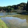 鞘戸池（千葉県茂原）