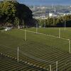 横地では民家の桜が満開