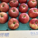 元にわかな教育母と娘たち