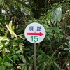 急須が割れた