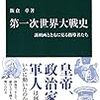  飯倉 章（2016）『第一次世界大戦史 - 諷刺画とともに見る指導者たち』