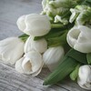 八代亜紀いい歌いい話