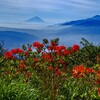 信州からの富士山