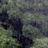 雨は降り続ける