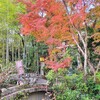 【京都】『熊野若王子神社』「千手滝」に行ってきました。 京都旅行 京都紅葉 女子旅 