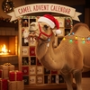 Camel Advent Calendar 始まります