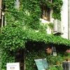 【オススメ5店】赤坂・六本木・麻布十番・西麻布(東京)にある洋食屋が人気のお店