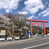 3回目の『筑波山』は花を愛でる山遊び