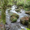 北の渓流をさかのぼる　第4回