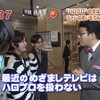 めざましテレビ カル調#51「ハロプロの今」