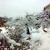 また雪すなぁ
