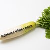 イキのいい大根