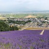 【旅行】北海道の旅㊾～ラベンダー畑を訪ねて その１「なかふらのフラワーパーク・北星山ラベンダー園」