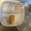 節約！哺乳瓶のレンジ消毒、これ便利！