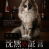 生成AIで遊ぶ×猫映画。
