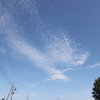 秋の空　いわし雲