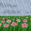雨の日の思い出