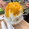 指宿日帰り旅｜市場食堂鶴の港とかき氷の06coffeeへ