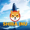 大口保有者によりSHIBバーン率が300%以上に急上昇！SHIB価格ブレイクアウト待ったなしか？