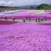 茶臼山芝桜の丘