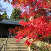 紅葉～丹波篠山