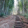 烏山城跡を歩いてきました。