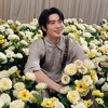JAEHYUN の「Dandelion」歌詞和訳,曲は、愛への渇望と大切さを表現しており