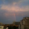 「虹」が見れました